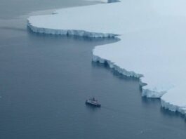 El Alerta por el Disminuido Hielo Marino en la Antártida: Un Indicador del Calentamiento Global