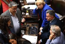 El oficialismo y el peronismo se unen para regular la atención de personas con discapacidad