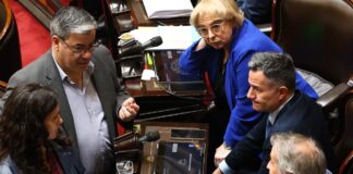 El oficialismo y el peronismo se unen para regular la atención de personas con discapacidad