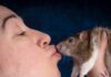 Irina Werning: La Fotografía que Une a Humanos y Animales a Través del Espejo