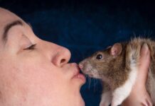 Irina Werning: La Fotografía que Une a Humanos y Animales a Través del Espejo