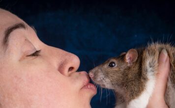 Irina Werning: La Fotografía que Une a Humanos y Animales a Través del Espejo