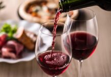 Los 10 Mejores Vinos Argentinos Elegidos por Enólogos: Un Reconocimiento a la Excelencia Vitivinícola