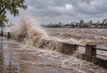 Informe sobre la altura de los ríos en Argentina: el Paraná en estado crítico