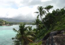 Un periodista transforma una isla desierta en un refugio de vida por menos de US$300.000