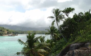 Un periodista transforma una isla desierta en un refugio de vida por menos de US$300.000