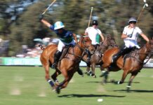 La Natividad-La Dolfina se consagra bicampeón del Abierto de Hurlingham