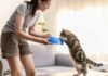 Hablar con Mascotas: Un Reflejo de Sensibilidad y Conexión Emocional