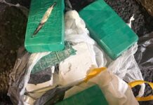 Detenidos dos hermanos con más de cuatro kilos de cocaína tras una fuga policial fallida