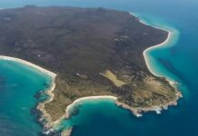 Una familia británica dejó todo para criar a sus hijos en una isla remota de Australia