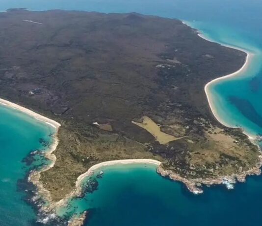 Una familia británica dejó todo para criar a sus hijos en una isla remota de Australia