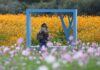Un Encuadre Inusual: La Fotografía que Captura Momentos en Goyang
