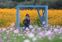 Un Encuadre Inusual: La Fotografía que Captura Momentos en Goyang