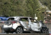 Trágico accidente en la Panamericana: un muerto y un herido en el inicio del fin de semana largo