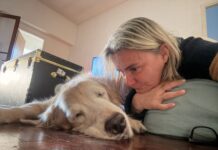 Una Historia de Amor y Pérdida: La Lucha de una Familia por su Perra Mili