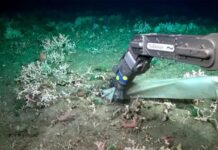 Descubren residuos humanos a 3.800 metros bajo el Mar Argentino: la sorprendente realidad del fondo oceánico