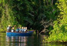 Los cinco lugares del mundo donde la longevidad es un estilo de vida