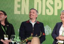 Máximo Kirchner Defiende Su Propuesta de Auditoría al RIGI y Responde a Gobernadores