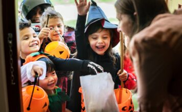 Calabazas de Halloween: Precios y Dónde Encontrarlas en Argentina
