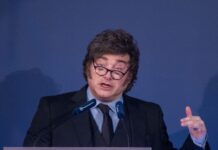 Debates Internos en el Gobierno Argentino: ¿Medidas de Reactivación Ante la Crisis?