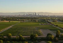 Pronóstico del Clima: Lluvias y Temperaturas Moderadas en Mendoza para Hoy