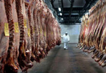 Argentina Podría Aprovechar la Caída de Brasil en el Mercado Global de Carne Vacuna