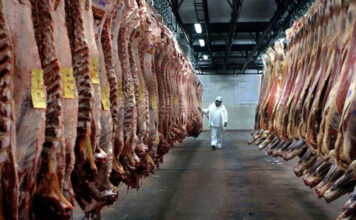 Argentina Podría Aprovechar la Caída de Brasil en el Mercado Global de Carne Vacuna