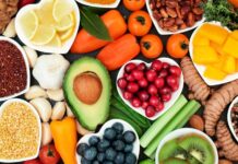 Innovar para Alimentar: La FAO y el Papa abogan por un Futuro Sin Hambre