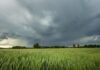Lluvias Moderadas Impactan el Clima y la Agricultura