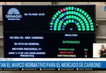 El Senado da un paso histórico: media sanción al Mercado de Carbono con un amplio apoyo